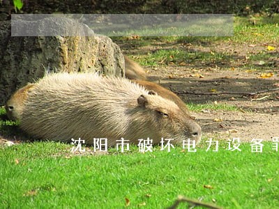 沈阳市破坏电力设备罪律师 沈阳市破坏电力设备罪律师