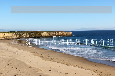 沈阳市离婚债务律师介绍 沈阳市离婚债务律师介绍