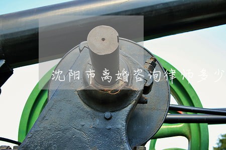 沈阳市离婚咨询律师多少钱 沈阳市离婚咨询律师多少钱
