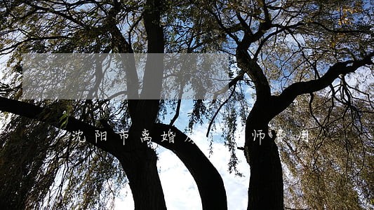 沈阳市离婚房产律师费用 沈阳市离婚房产律师费用