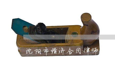 沈阳市经济合同律师地址 沈阳市经济合同律师地址