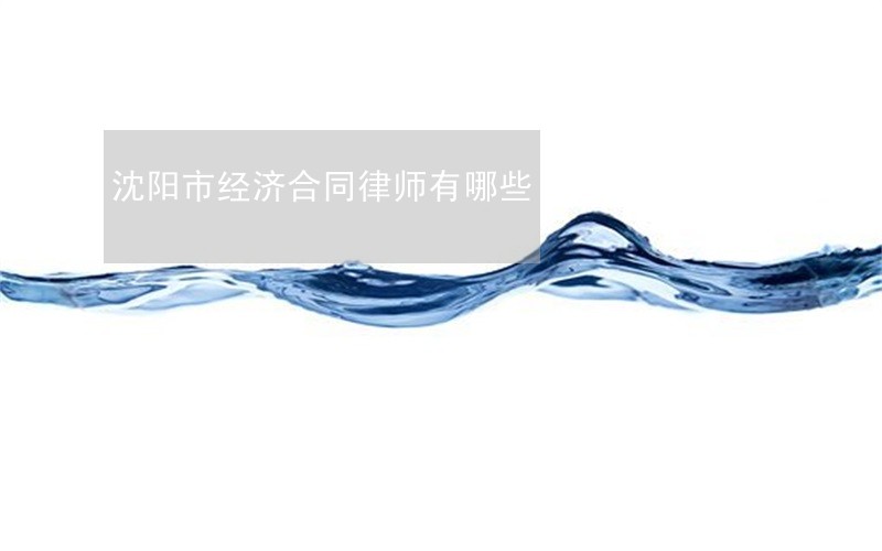 沈阳市经济合同律师有哪些 沈阳市经济合同律师有哪些