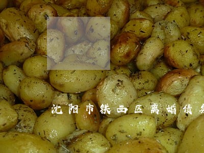 沈阳市铁西区离婚债务律师 沈阳市铁西区离婚债务律师