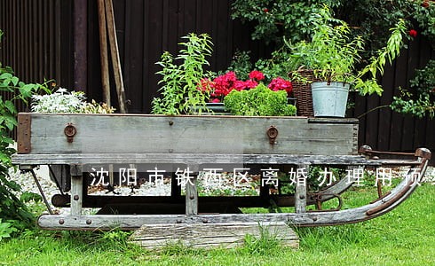 沈阳市铁西区离婚办理用预约吗 沈阳市铁西区离婚办理用预约吗