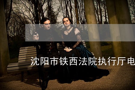 沈阳市铁西法院执行厅电话 沈阳市铁西法院执行厅电话