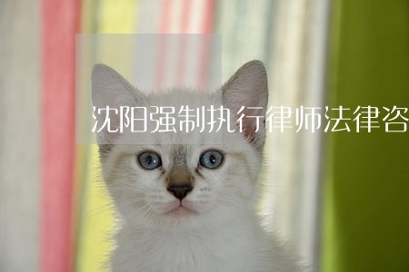 沈阳强制执行律师法律咨询 沈阳强制执行律师法律咨询