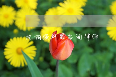 沈阳强奸罪咨询律师 沈阳强奸罪咨询律师