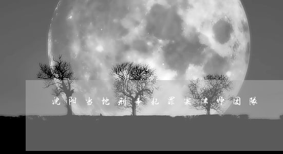 沈阳当地刑事犯罪案律师团队