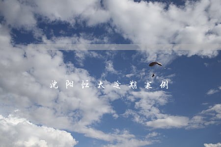 沈阳恒大逾期案例 沈阳恒大逾期案例