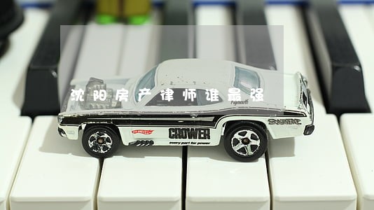 沈阳房产律师谁最强 沈阳房产律师谁最强