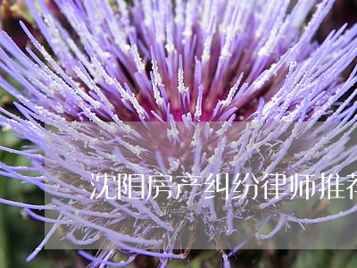 沈阳房产纠纷律师推荐 沈阳房产纠纷律师推荐
