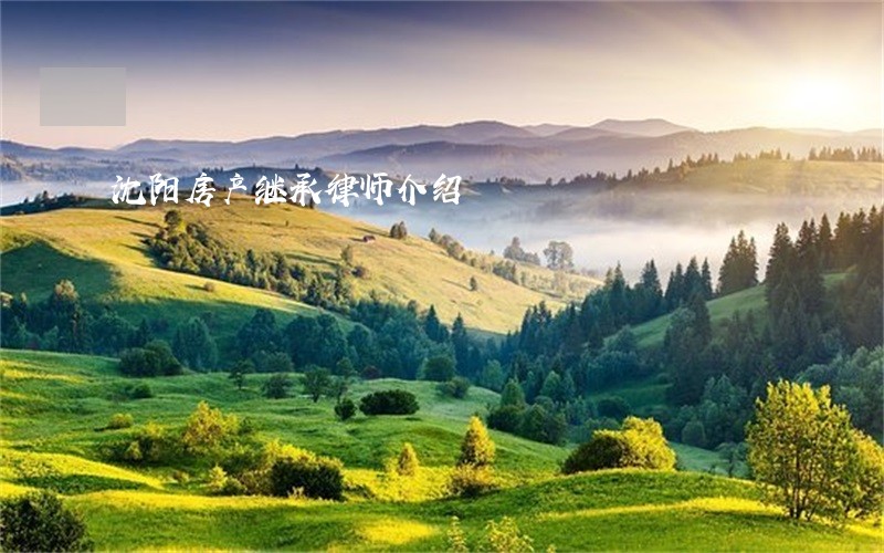 沈阳房产继承律师介绍 沈阳房产继承律师介绍