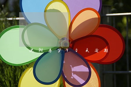 沈阳房贷90天逾期 沈阳房贷90天逾期