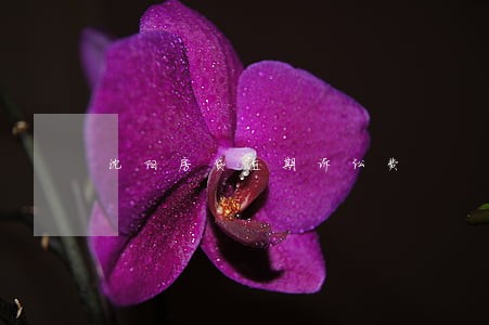 沈阳房贷逾期诉讼费 沈阳房贷逾期诉讼费