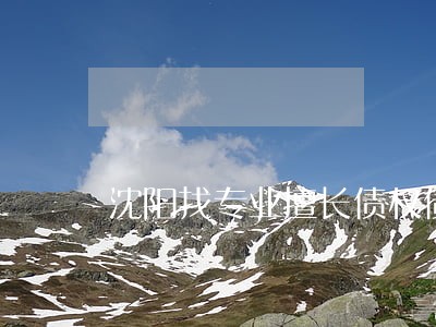 沈阳找专业擅长债权债务律师 沈阳找专业擅长债权债务律师