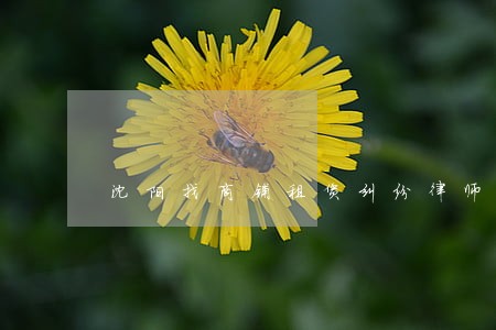 沈阳找商铺租赁纠纷律师收费多少 沈阳找商铺租赁纠纷律师收费多少