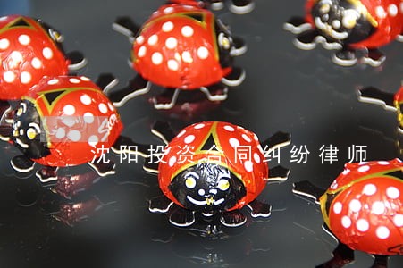 沈阳投资合同纠纷律师 沈阳投资合同纠纷律师