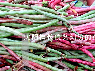 沈阳擅长债务纠纷的律师 沈阳擅长债务纠纷的律师