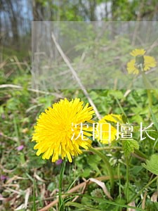 沈阳擅长离婚房产律师介绍 沈阳擅长离婚房产律师介绍