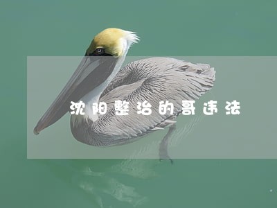 沈阳整治的哥违法 沈阳整治的哥违法