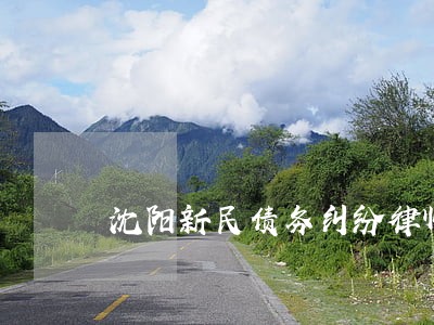 沈阳新民债务纠纷律师怎么委托 沈阳新民债务纠纷律师怎么委托