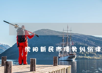 沈阳新民市债务纠纷律师 沈阳新民市债务纠纷律师