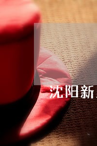 沈阳新民市债务纠纷律师哪家强 沈阳新民市债务纠纷律师哪家强