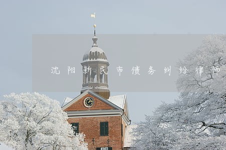沈阳新民市债务纠纷律师推荐 沈阳新民市债务纠纷律师推荐