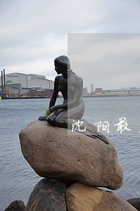 沈阳最厉害的刑事律师 沈阳最厉害的刑事律师