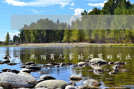沈阳有几家验酒驾的司法鉴定中心 沈阳有几家验酒驾的司法鉴定中心