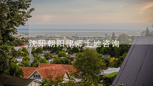 沈阳朝阳律师土地咨询 沈阳朝阳律师土地咨询