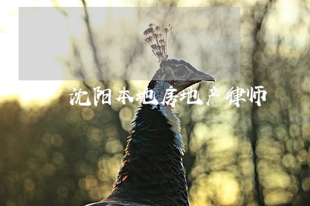 沈阳本地房地产律师 沈阳本地房地产律师