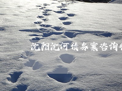 沈阳沈河债务案咨询律师推荐 沈阳沈河债务案咨询律师推荐