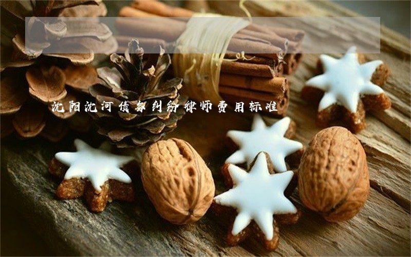 沈阳沈河债务纠纷律师费用标准 沈阳沈河债务纠纷律师费用标准