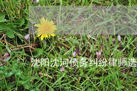 沈阳沈河债务纠纷律师选哪个 沈阳沈河债务纠纷律师选哪个