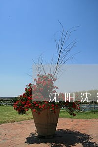 沈阳沈河区法院在哪 沈阳沈河区法院在哪