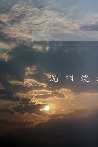 沈阳沈河区走私案咨询律师
