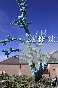 沈阳沈河处理债务纠纷律师