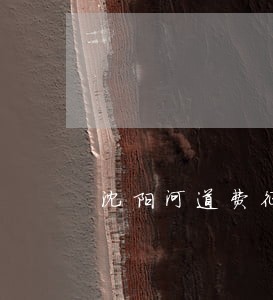 沈阳河道费征收法规 沈阳河道费征收法规