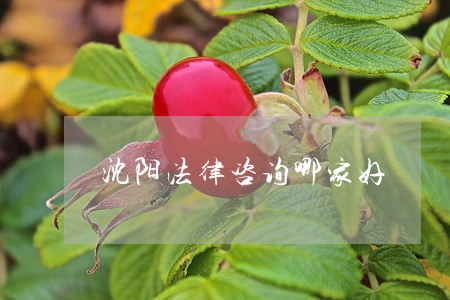 沈阳法律咨询哪家好 沈阳法律咨询哪家好