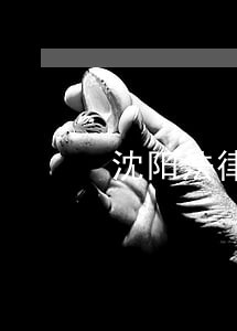 沈阳法律援助录音 沈阳法律援助录音