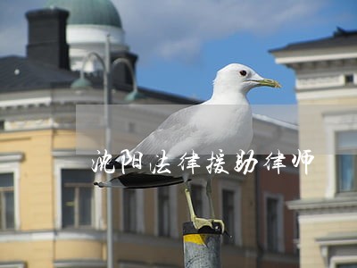 沈阳法律援助律师 沈阳法律援助律师