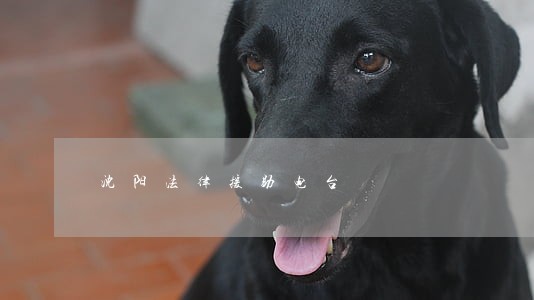 沈阳法律援助电台 沈阳法律援助电台