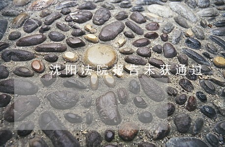 沈阳法院报告未获通过