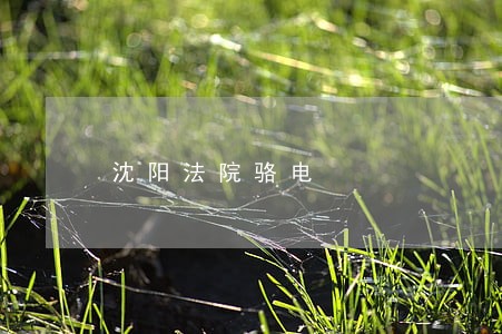 沈阳法院骆电 沈阳法院骆电