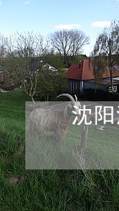 沈阳浑南债务纠纷律师咨询 沈阳浑南债务纠纷律师咨询