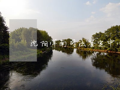 沈阳浑南司法鉴定中心电话号码 沈阳浑南司法鉴定中心电话号码