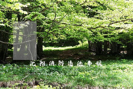 沈阳消防违法举报 沈阳消防违法举报
