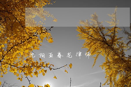 沈阳王春龙律师 沈阳王春龙律师