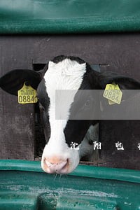 沈阳电视台理财逾期